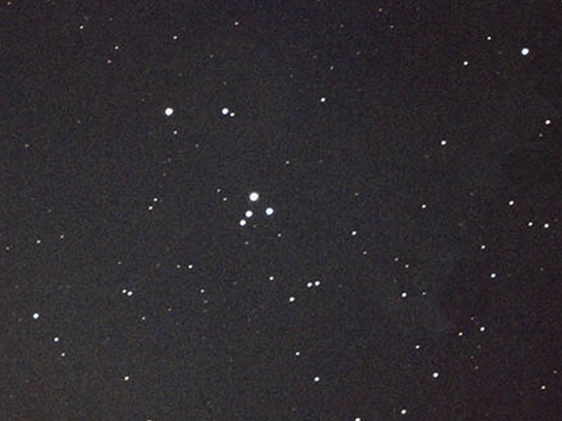 M73